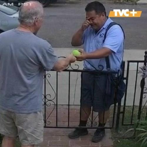 Пять лет собака каждый день почтальона с теннисным мячом ждала. 01