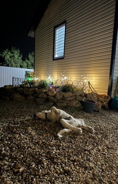 Дом с обложки или как я своими очумелыми женскими ручками создала уют на участке всего за 1, 5 месяца. 01 Дом с обложки или как я своими очумелыми женскими ручками создала уют на участке всего за 1, 5 месяца. 01