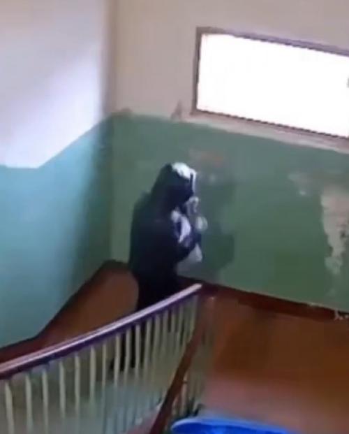 Эпизод 413.  Неприятная соседка. 01