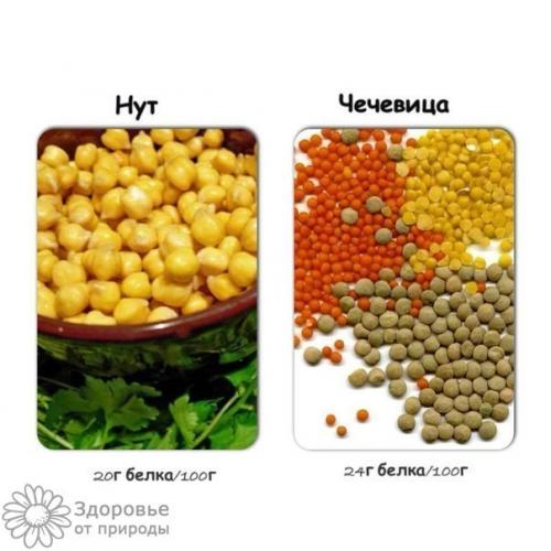 Расчет суточной нормы белка в ЗАВИСИМОСТИ от степени физической активности. 09 Расчет суточной нормы белка в ЗАВИСИМОСТИ от степени физической активности. 09