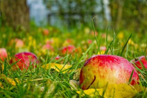 Осенний антистресс: почему осенью портится настроение и особенности выбора деятельности в холодный сезон. 01