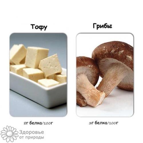 Расчет суточной нормы белка в ЗАВИСИМОСТИ от степени физической активности. 08 Расчет суточной нормы белка в ЗАВИСИМОСТИ от степени физической активности. 08