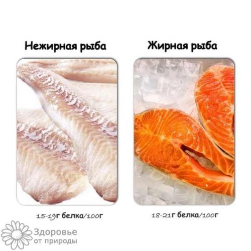 Расчет суточной нормы белка в ЗАВИСИМОСТИ от степени физической активности. 01 Расчет суточной нормы белка в ЗАВИСИМОСТИ от степени физической активности. 01