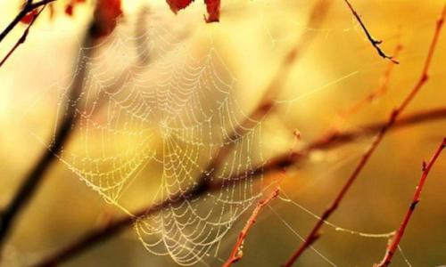 Осенний антистресс: почему осенью портится настроение и особенности выбора деятельности в холодный сезон. 02