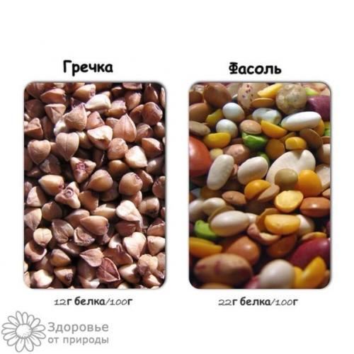 Расчет суточной нормы белка в ЗАВИСИМОСТИ от степени физической активности. 02 Расчет суточной нормы белка в ЗАВИСИМОСТИ от степени физической активности. 02