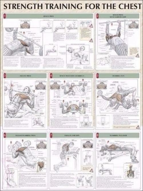 Упражнения на все группы мышц? 03