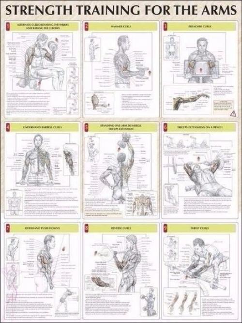 Упражнения на все группы мышц? 05