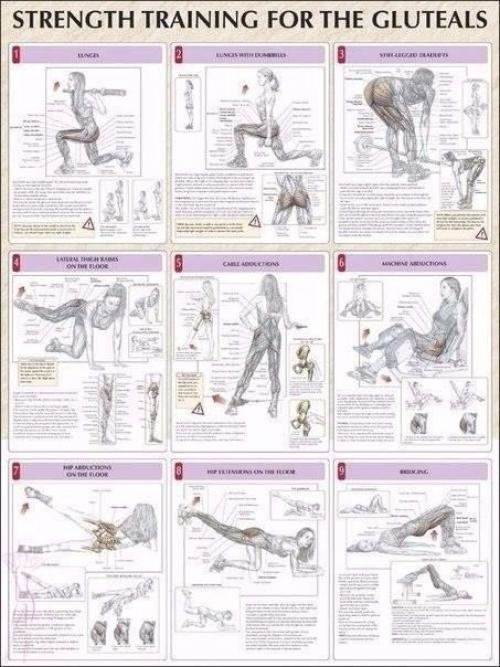 Упражнения на все группы мышц? 01