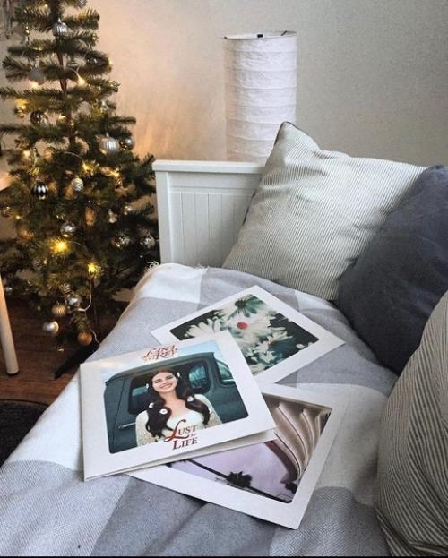 Сдаю светлую уютную 1-комнатную квартирку на проспекте Маршака, 26. 04