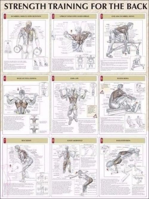 Упражнения на все группы мышц? 04