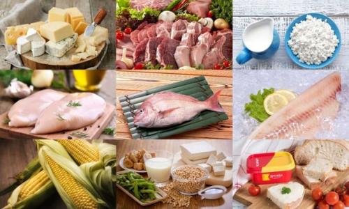 В одной ветеринарной клинике, расположенной в североафриканской стране, омываемой водами атлантического океана и средиземного моря, живёт рико. 01