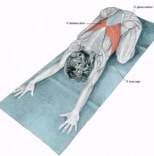 Растяжка мышц до и после тренировки. 07 Растяжка мышц до и после тренировки. 07