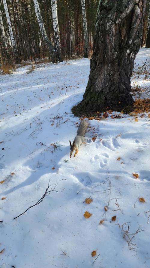 Я начала в июле. 05 Я начала в июле. 05