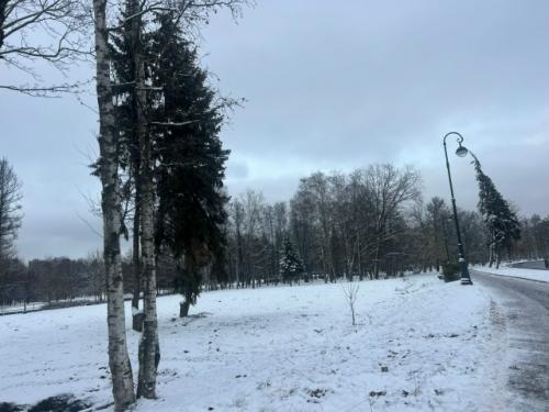 Многие горожане волнуются: что же теперь построят на месте снесенного недавно Спорт Паласа в приморском парке победы. 02 Многие горожане волнуются: что же теперь построят на месте снесенного недавно Спорт Паласа в приморском парке победы. 02