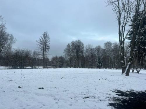 Многие горожане волнуются: что же теперь построят на месте снесенного недавно Спорт Паласа в приморском парке победы. 01 Многие горожане волнуются: что же теперь построят на месте снесенного недавно Спорт Паласа в приморском парке победы. 01