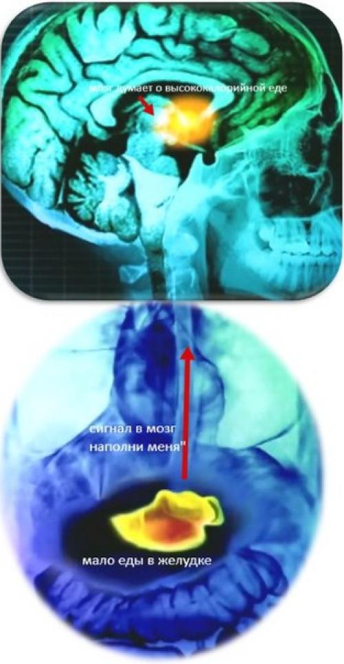 Как похудеть? 10. 01