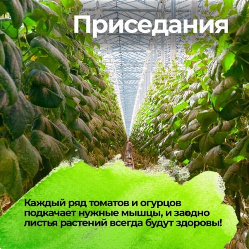 Ботаника - это здоровье и хорошее настроение! 02