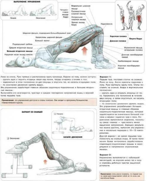 Упражнения тренировка ягодицы. 03 Упражнения тренировка ягодицы. 03