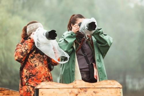 Вот и осень закончилась. 01