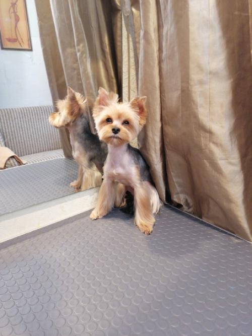 Мой фитнес тренер Джессика. 01