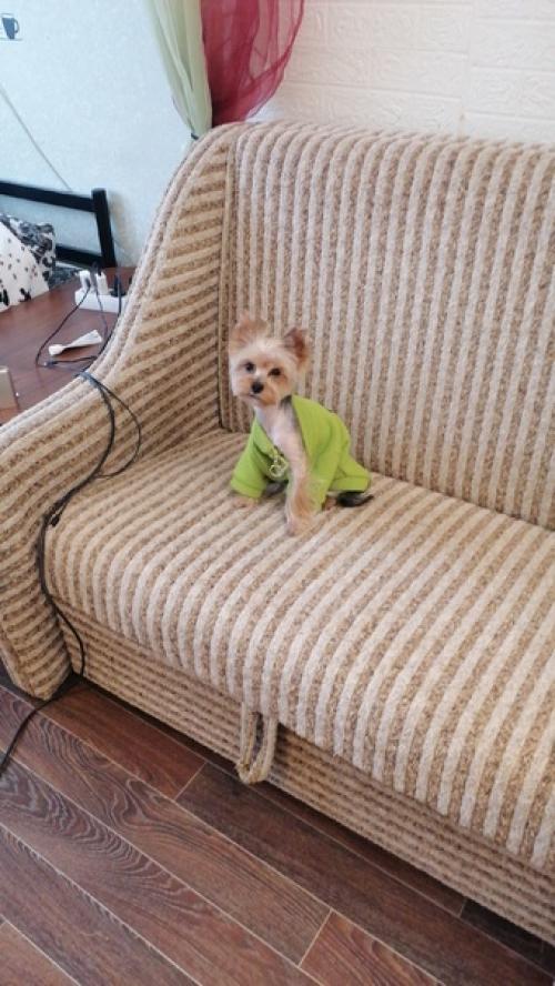 Мой фитнес тренер Джессика. 02