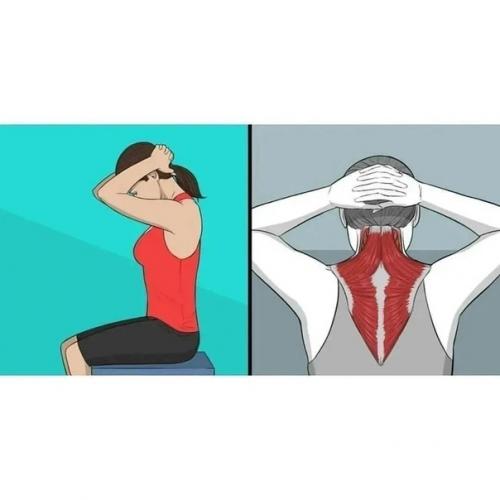 8 упражнений для растяжки, которые заменят поход к массажисту. 03