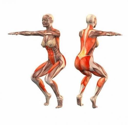 Йога?  Наглядно о том, как работают наши мышцы во время упражнений! 04