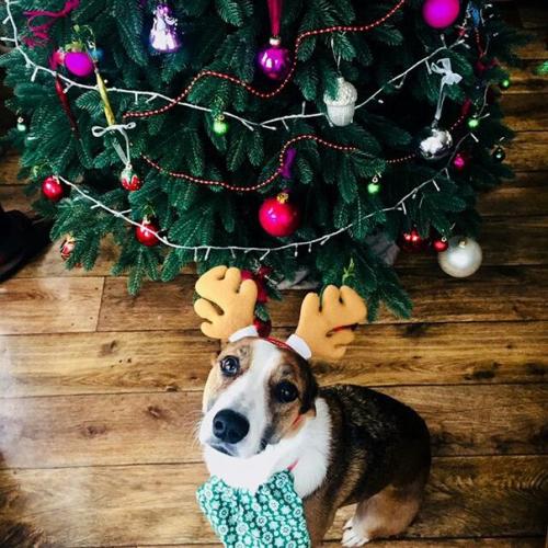 Добрый день. Пост к опытным туристам. 01 Добрый день. Пост к опытным туристам. 01