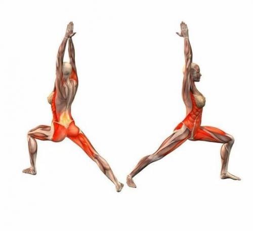 Йога?  Наглядно о том, как работают наши мышцы во время упражнений! 01