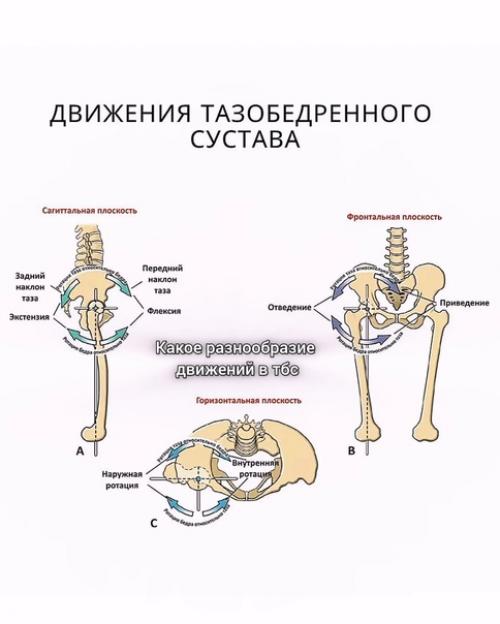 Заметили культ большой ж *пы? 01