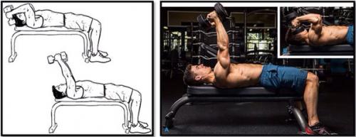 Разгибание рук лежа с гантелями. 01