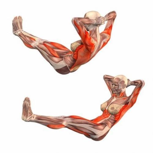 Йога?  Наглядно о том, как работают наши мышцы во время упражнений! 02