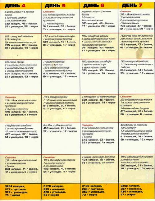 Примеры программ питания для начинающих или любителей. 02