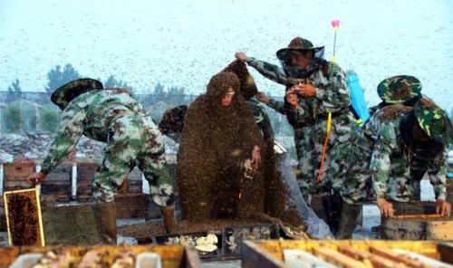 Топ 3 удивительных рекорда Гиннеса. 02