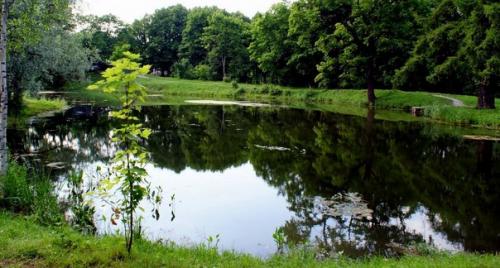 ? 1. Мая во всех парках Москвы официально отрывается летний сезон! 07