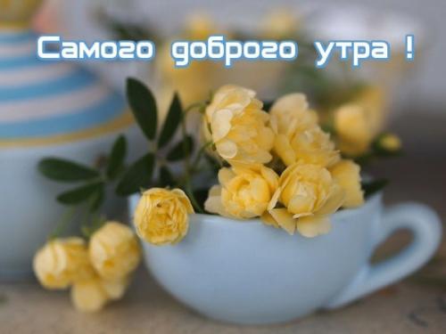 Всем доброго утра! 02