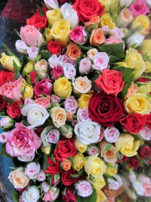 Всем доброго утра! 03