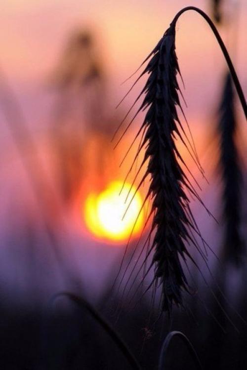 Живем по луне. 02