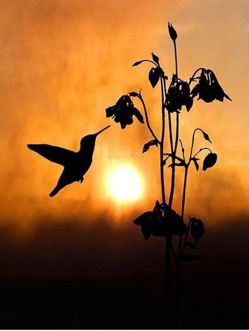 Живем по луне. 03