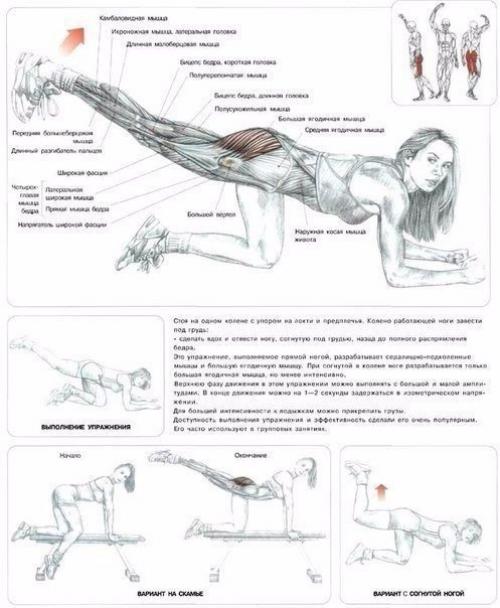 ? 22. Лучших упражнения для идеальных ягодиц. 01 ? 22. Лучших упражнения для идеальных ягодиц. 01