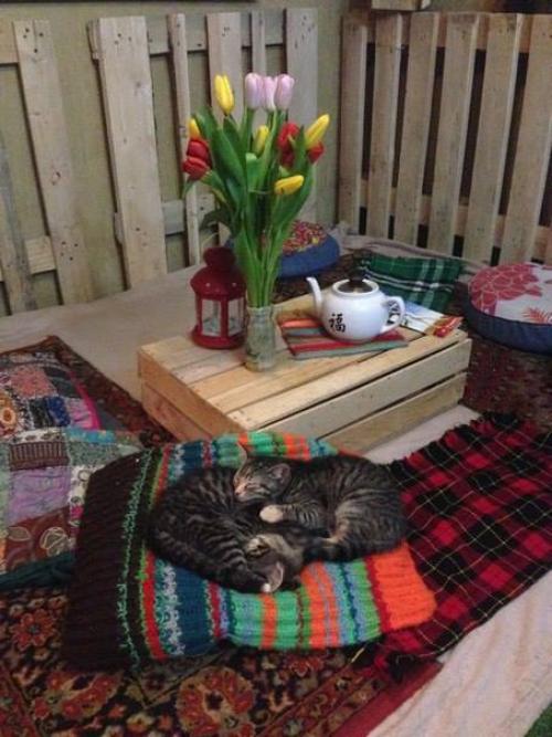 Топ - 10 вегетариснких заведений. 08