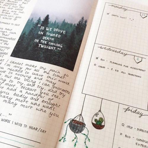 ? 10. Учебных лайфкахов, чтобы помочь тебе подготовиться к экзаменам? 01