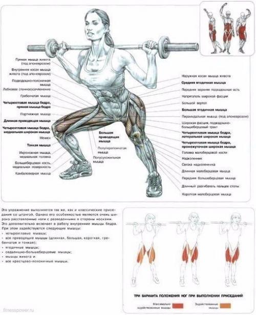 ? 22. Лучших упражнения для идеальных ягодиц. 02 ? 22. Лучших упражнения для идеальных ягодиц. 02