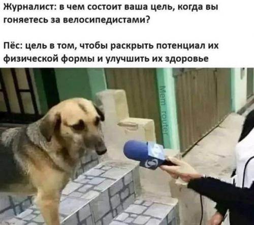 Все, что нужно знать про фитнес.

