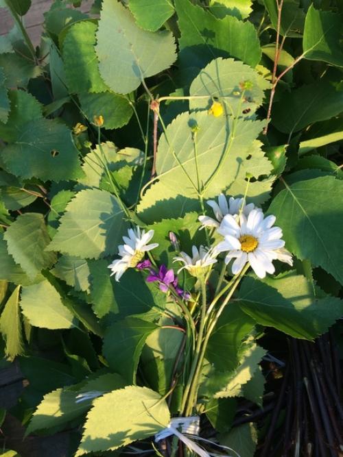 Огород (а свой дом тем более) - это бесплатный фитнес, растяжка, грязевые ванны и прочие развлечения а ещё это красота и аромат. 07