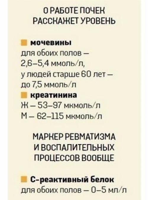 О чем расскажет анализ крови? 05