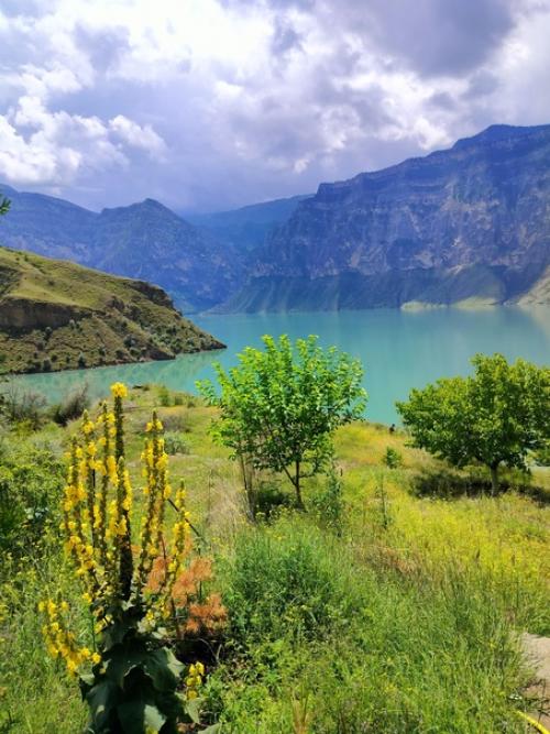 Мы из Дагестана домой вернулись. 03