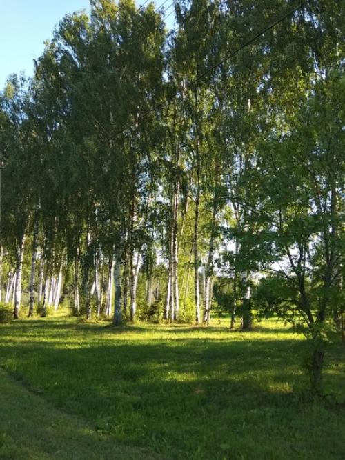 В прошлом году ездила вместе с 3 летним внуком на 2 недели. 01