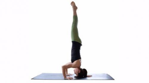 10 базовых асан на каждый день. 09 10 базовых асан на каждый день. 09