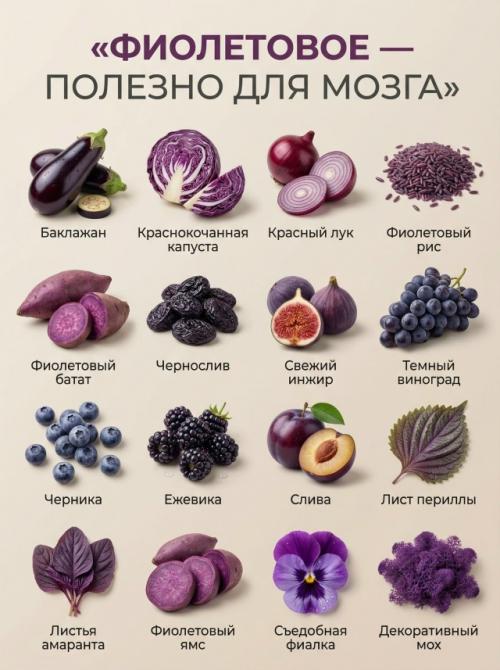 Цвет твоей еды - это не случайность, а важный сигнал для организма. 03